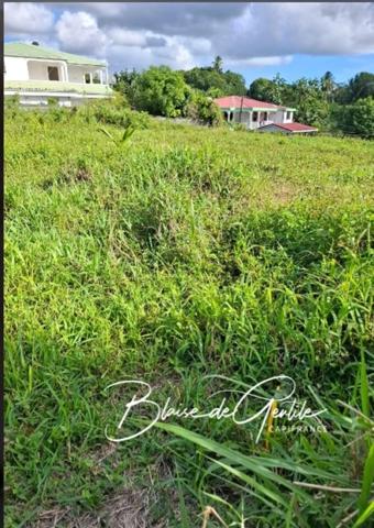 Terrain à vendre SAINTE ANNE (971)