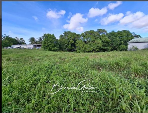 Terrain à vendre SAINTE ANNE (971)