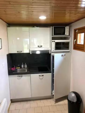 Ensemble de 1/2chalets-idéal location saisonnière