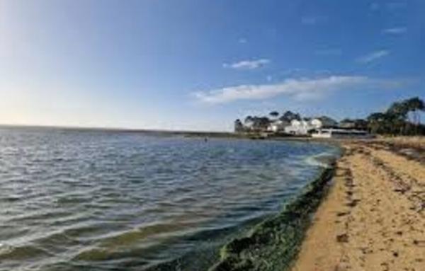 Appartement T1 en seconde ligne de mer avec terrasse de 7,4 m2 - 29 m2 à Arcachon Centre