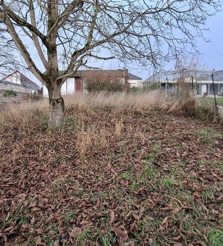 Maison à vendre à Biermes dans les Ardennes (08300), ref : 10315/618