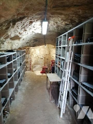 ACHAT : LOCAL DIVERS - St Martin Le Beau - Indre-et-Loire (37)