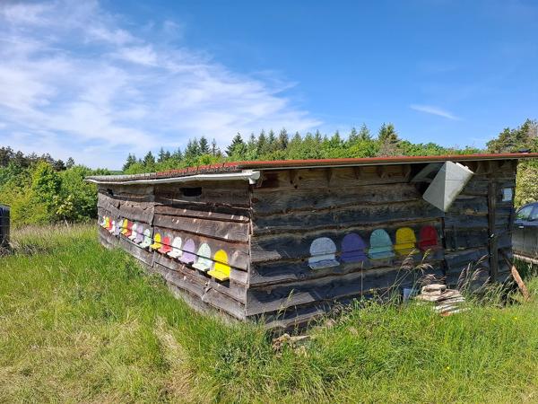 JEUNE PLANTATION DE 8 HECTARES Badonvilliers-gérauvilliers