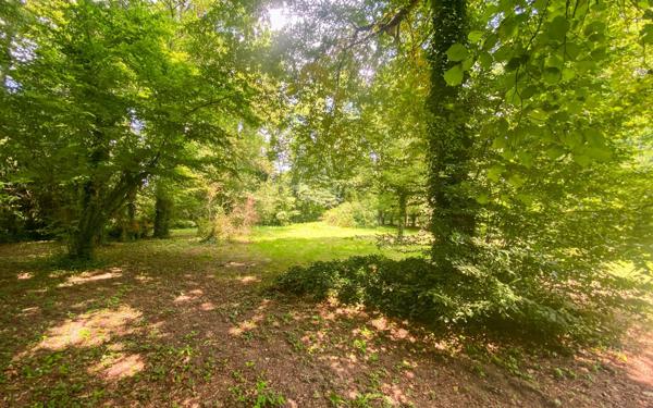 Maison à vendre    6 pièces •  Donnery