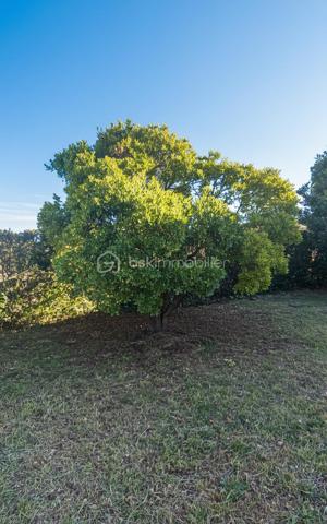 A VENDRE VILLA DE 95.43 m2 sur 865 m2 de terrain.
Habitation en rez-de-chaussée très lumineuse avec une grande pièce à vivre de 38.50 m2, avec une cheminée + insert et cet espace est climatisé. 3 chambres 1 salle de bain et douche 1 wc indépendant 1 garage de 24 m2 Terrain plat de 1084 m2. 
Le terrain plat, arboré, entièrement clôturé avec des Oliviers qui produises est son véritable atout avec une exposition Sud. Le Terrain est piscinable. La terrasse peut accueillir un BBQ. 
Un espace est dédié pour le potager, Eau du Canal et 2 Abris de jardin. Le Village est très bien desservi au niveau scolaire, transport, pharmacie, médecins et tous autres commerces. A750 à 2 minutes. 
Quartier résidentiel du village très calme. La villa a été construite en l'année 1988 et a besoin aujourd'hui d'un nouveau coup de jeune, en passant par un rafraîchissement complet pour vraiment révéler tout son joli potentiel. 
Information d'affichage énergétique sur ce bien : Classe ENERGIE C indice 179 et classe CLIMAT A indice 5. 

Votre contact pour tous renseignements et une visite. Fabrice Boubal Conseiller Bskimmobilier. Port : Voir le téléphone Mail : Contacter Agent commercial indépendant (EI). Rsac : 37815191400058 Montpellier 34 Cette annonce référence 320508 vous est présentée par votre agent commercial BSK Immobilier FABRICE BOUBAL (EI) immatriculé au RSAC de MONTPELLIER (34000) sous le numéro 37815191400058. 
Prix du bien : 299 000,00 € F.A.I
Les honoraires d'agence sont à la charge de l'acquéreur. 
A propos des performances énergétiques : Date de réalisation du diagnostic énergétique : 08/12/2025 Score DPE : 179 kWhEP/m²/an Score GES : 5 kgepCO2/m²/an Montant estimé des dépenses annuelles d'énergie pour un usage standard : entre 1198.00 € et 1620.00 € par an. 
Prix moyens des énergies indexés sur l'année 2021 (abonnements compris). Les informations sur les risques auxquels ce bien est exposé sont disponibles sur le site Géorisques : www.georisques.gouv.fr