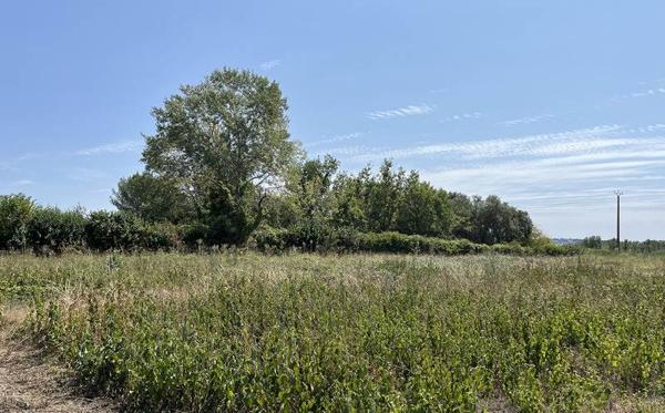 Terrain à vendre |  Prigonrieux |  13116 m²