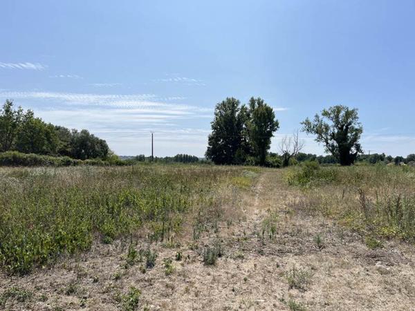 Terrain à vendre |  Prigonrieux |  13116 m²