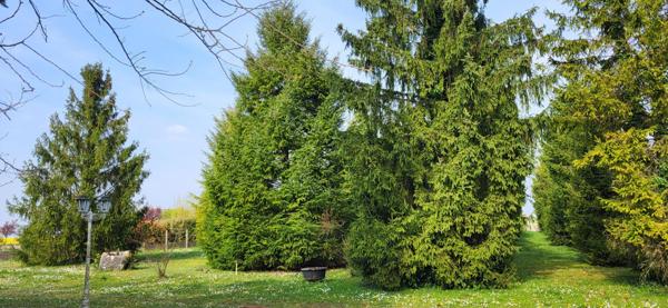 Terrain à BEAUCE LA ROMAINE, 41160 - 5824m²