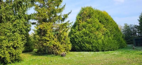 Terrain à BEAUCE LA ROMAINE, 41160 - 5824m²
