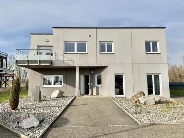 Rountzenheim (67480) Ensemble immobilier professionnel à louer – 300 m² – 30 ares – parkings