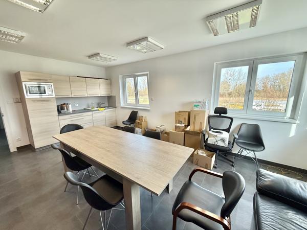 Rountzenheim (67480) Ensemble immobilier professionnel à louer – 300 m² – 30 ares – parkings