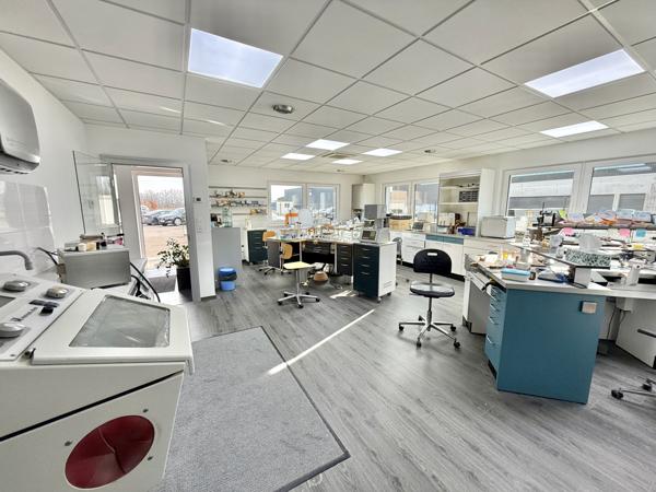 Rountzenheim (67480) Ensemble immobilier professionnel à louer – 300 m² – 30 ares – parkings