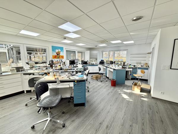 Rountzenheim (67480) Ensemble immobilier professionnel à louer – 300 m² – 30 ares – parkings