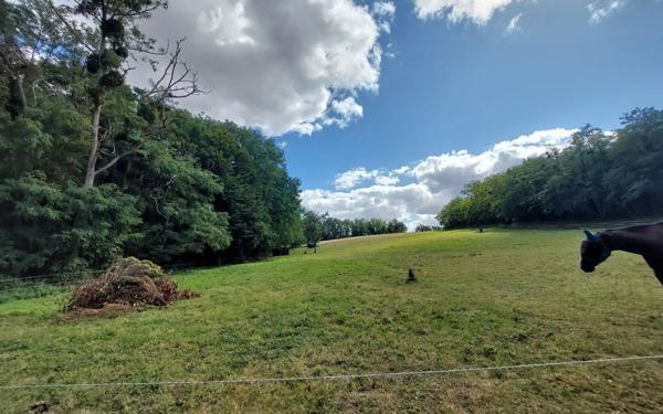 Maison à vendre    5 pièces •  Seigy