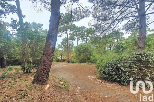 Terrain à vendre 1 245 m² Pyla-sur-Mer