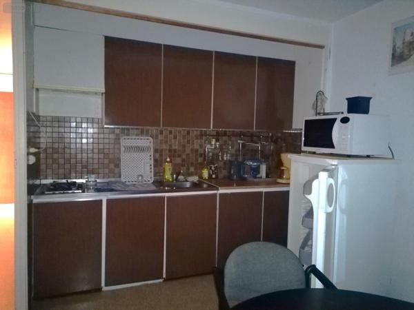 Appartement meublé à vendre à Saint-Cyprien dans les Pyrénées-Orientales (66750), ref : IP23632