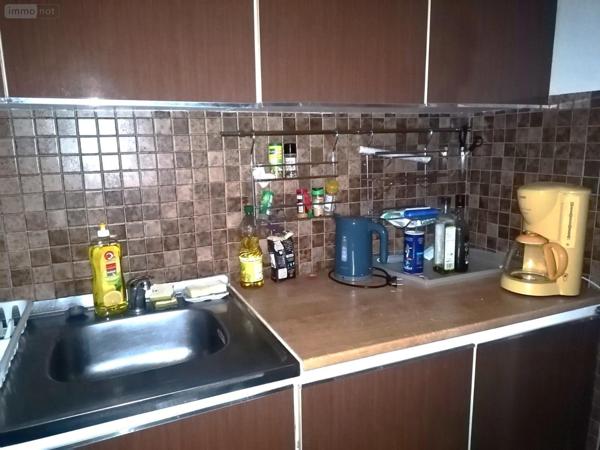 Appartement meublé à vendre à Saint-Cyprien dans les Pyrénées-Orientales (66750), ref : IP23632