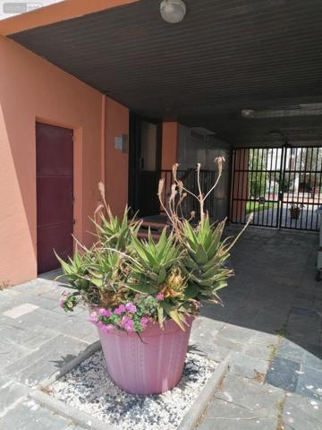 Appartement meublé à vendre à Saint-Cyprien dans les Pyrénées-Orientales (66750), ref : IP23632