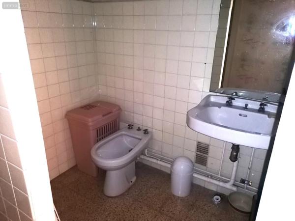 Appartement meublé à vendre à Saint-Cyprien dans les Pyrénées-Orientales (66750), ref : IP23632