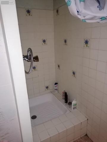 Appartement meublé à vendre à Saint-Cyprien dans les Pyrénées-Orientales (66750), ref : IP23632