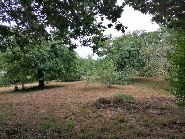 Maison  en Pierre Loyat  3 chambres 107 m2