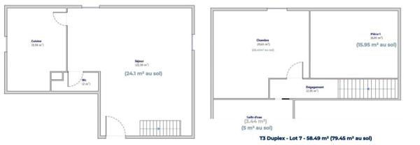 Vente / Immeuble à Buxerolles (86180)
