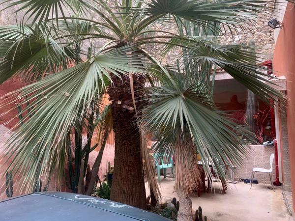 Vente Maison 6 pièces 115 m2 à Argelès-sur-Mer