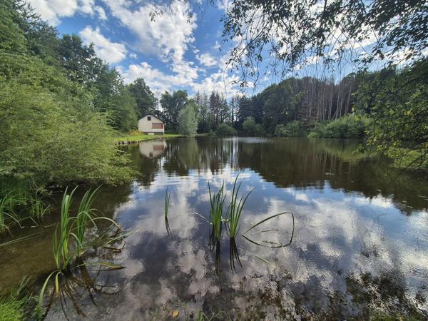 Schirrhein (67240) Etang de pêche sur un terrain de 1,5 hectares