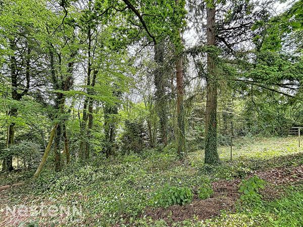 QUIMPERLE - Terrain constructible 988m²
