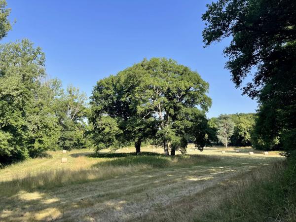 Vendôme, Château  1 888 m² à vendre