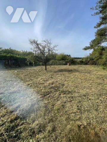 AMILLY 45200 - TERRAIN A BATIR DE 490 M²