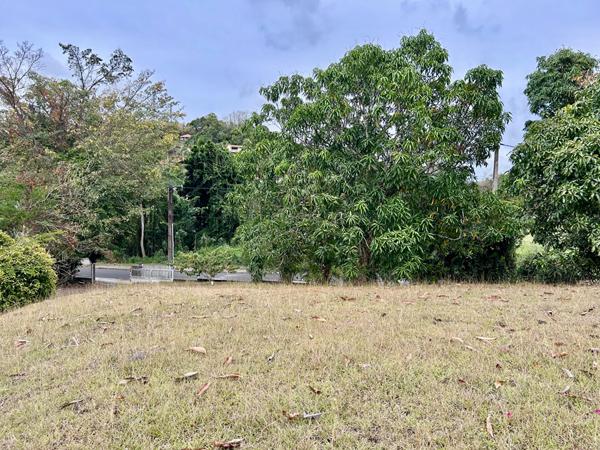 Appartement 3 pièces à louer avec jardin à Rivière-Salée, Martinique - Exclusivité ERA STI CARAIBES