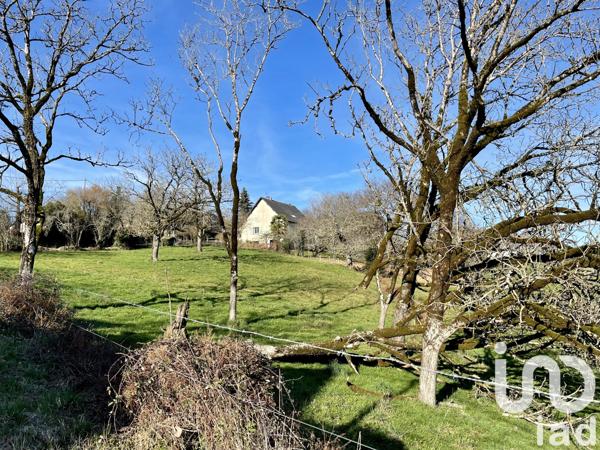 Terrain à vendre 1 500 m² Allassac