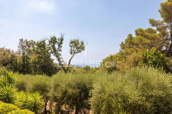 Propriété lovée dans un écrin de verdure Cabris
