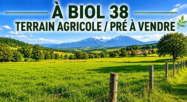 Vente / Terrain agricole