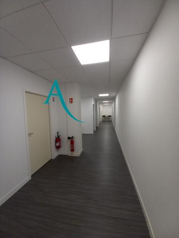 LE HAVRE - FRANCOIS 1ER