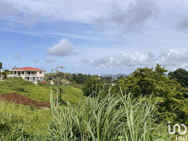 Terrain à vendre 500 m² Rivière-Pilote