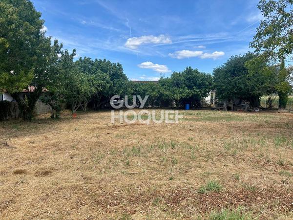 Terrain à vendre Grenade - 485 m² - Réf 3919