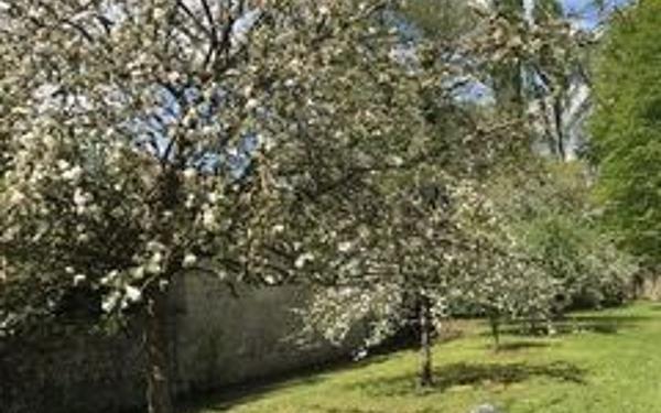 Maison à vendre    6 pièces •  Labbeville