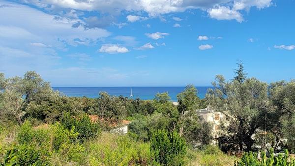 appartement vue mer à vendre 2 pièces SARI SOLENZARA (20)