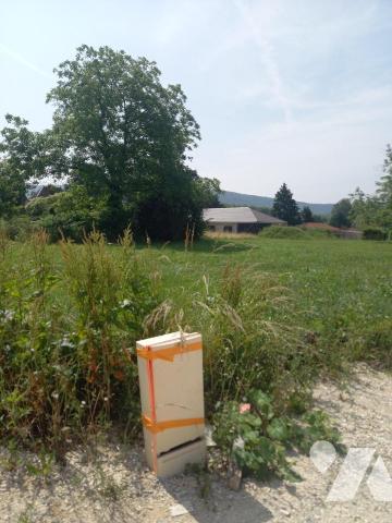 VORAY SUR L'OGNON - Terrain à bâtir