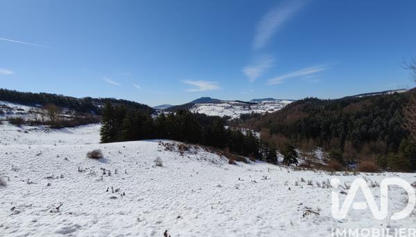 Maison à vendre 7 pièces 261 m² Le Monastier-sur-Gazeille