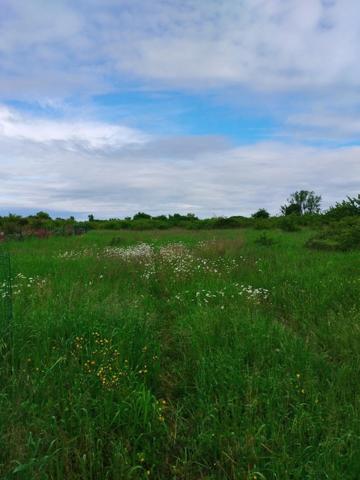 Terrain à NIORT, 79000 - 6350m²