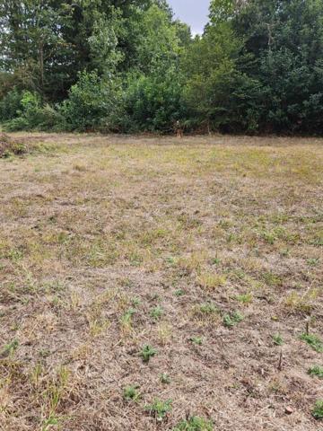 Le Faouët à 6.4 km - Terrain à bâtir de 631 m2 viabilisé - Prix : 24.784
