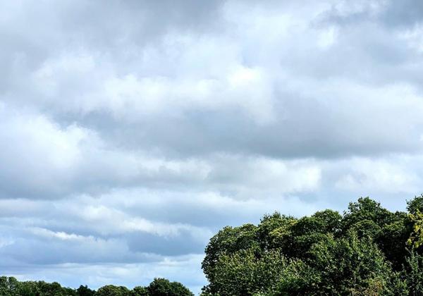 Le Faouët à 6.4 km - Terrain à bâtir de 631 m2 viabilisé - Prix : 24.784