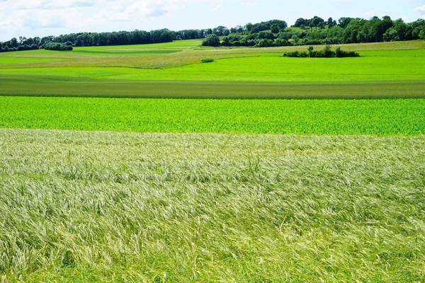 Dpt Yvelines (78), à vendre ACHERES terrain de 833 m2