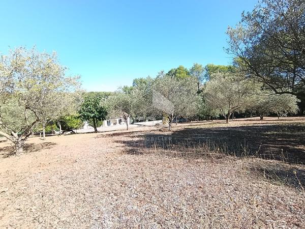 Propriété à Taradeau 181 m2 sur 5000 m² de terrain