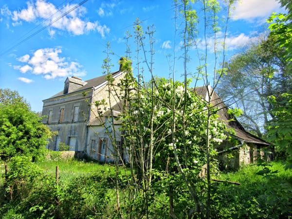 Maison à vendre à Pré-en-Pail-Saint-Samson (53140) - Mayenne