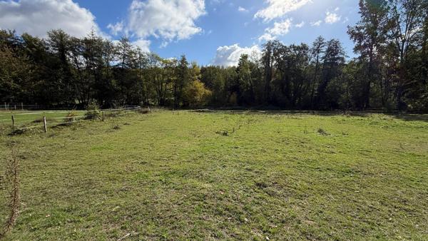 TERRAIN A BATIR 3500 m²