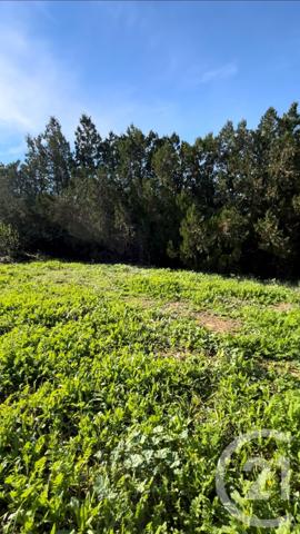 Terrain à vendre  568 m2 BEZIERS - 34